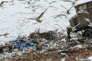 Первая новость